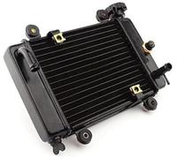 Radiateur Moteur pour Moto, Quad, 4x4, ATV, UTV, 200cc, 250cc, Refroidissement par Eau, Module de condenseur de climatisation
