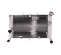 RADIATEUR MOTO JMP 2019040101 Pour Yamaha 600 XJ 6 DIVERSION F 2010-2016