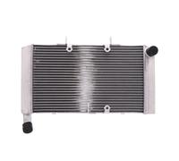 RADIATEUR MOTO JMP 2019040109