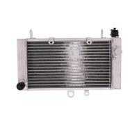 22123-Radiateur à eau JMP compatible avec HONDA CBF 500