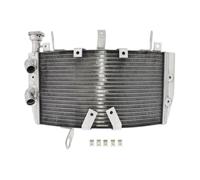 RADIATEUR MOTO JMP TRS-R-606 Pour Ducati 821 MONSTER 2014-2021