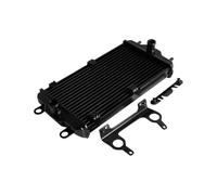 Radiateur Noir avec Support for Ha Street 500 750 XG500 XG750 2015-2020