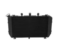 Radiateur Noir pour Moto pour Kawasaki ZR900 2025 Z900RS Cafe 2021-2024 Z900RS SE 2021-2023
