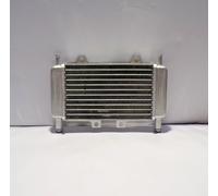 Radiateur Pour Piaggio Gilera DNA Runner 50 Zip SP 50 299389