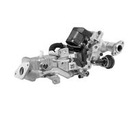 Radiateur, réaspiration des gaz d'échappement BORG WARNER A1010059126A1