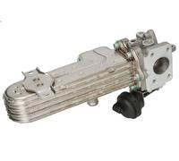 Radiateur, réaspiration des gaz d'échappement NISSENS 989413 pour A3 2 2003-