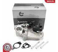 Radiateur, Recirculation Gaz Pot D'Échappement pour Chevrolet Fiat Opel 500