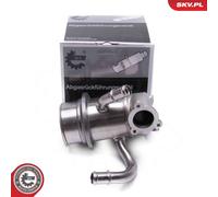Radiateur, Recirculation Gaz Pot D'Échappement pour Skoda VW Beetle Caddy