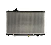 DENSO DRM50095 Radiateur du moteur