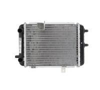 Radiateur, refroidissement moteur NISSENS 60363