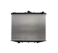 Thermotec Radiateur moteur D71014TT - grille soudée pour Ford/Nissan