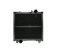 Radiateur, refroidissement moteur THERMOTEC D7AG092TT