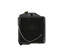 Radiateur, refroidissement du moteur THERMOTEC D7AG171TT