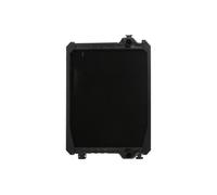 Radiateur, refroidissement moteur THERMOTEC D7AG729TT