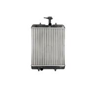 Radiateur, refroidissement moteur THERMOTEC D7C008TT
