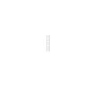 Radiateur Salle de bain Sahara - 300 x 1800 mm - Blanc