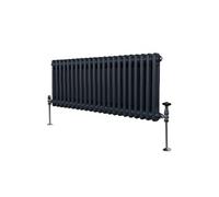 Radiateur Traditionnel à 2 Colonnes Chauffage Horizontal Anthracite 300 x 1012mm