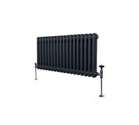 Radiateur Traditionnel à 2 Colonnes Chauffage Horizontal Anthracite 300 x 832mm