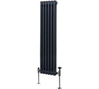 Radiateur Traditionnel à 2 Colonnes Chauffage Vertical Anthracite 1500 x 292mm Gris