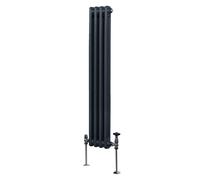 Radiateur Traditionnel à Double Colonne - 1500 x 202 mm - Gris Anthracite Monstershop
