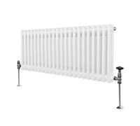 Radiateur Traditionnel à Double Colonne - 300 x 1012 mm - Blanc Monstershop