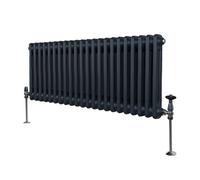 Radiateur Traditionnel à Double Colonne - 300 x 1012 mm - Gris Anthracite Monstershop