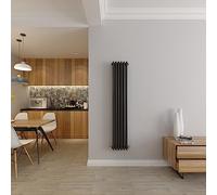 Radiateur vertical à 3 colonnes en fonte de style chauffage central Blanc 1500 x 290 mm