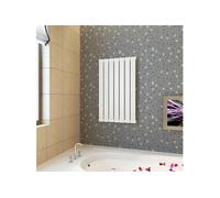 Radiateur panneau blanc 542 mm x 900 mm