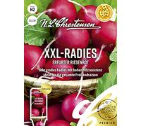 Radies Erfurter Ruban de semences géant Rouge Taille XXL