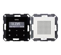 Radio à encastrer RDS Gira 228027