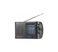 Auvisio PX-2439-919 Radio portable Analogique Noir