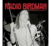 Radio Birdman – Live at Paddington Town Hall (12 décembre 1977) – Vinyle 12"