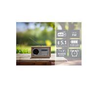 Radio DAB+ | | 22-129-00 |Gris / Beige