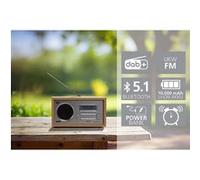 Digitalbox Radio DAB+ / FM portable DABMAN 30 bois Bluetooth Powerbank Gris