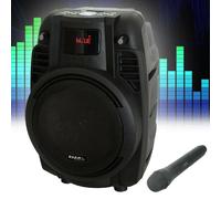 Radio Fête Bluetooth Musique MP3 SD USB Beschallungs Usine Microphone Big Léger