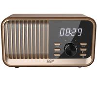 CGV Radio FM portable BeBop FM - Bluetooth - Batterie intégrée - Bois