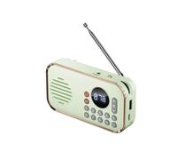 Radio FM Portable Rechargeable Petit Haut-Parleur Sans Fil Surround Son Stéréo USB Radios Vintage Vert Clair