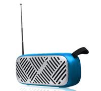 Radio FM Sans Fil Bluetooth5.0 6W Haut-Parleurs Stéréo Carte SD Lecture De Disque U Lecteur De Musique,Bleu