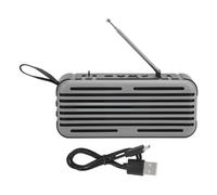 Radio numérique portable avec une excellente qualité sonore, format mini pour une portabilité optimale, réception supérieure pour un son