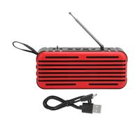 Radio numérique portable avec une excellente qualité sonore, format mini pour une portabilité optimale, réception supérieure pour un son