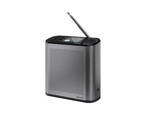 Radio numérique Sharp DR-P530 2,4 pouces couleur Storm Grey