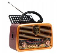 Radio portable analogique - BLOW - RA10 - panneau solaire - Bluetooth TWS - AM/FM
