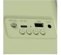Radio portable - HAEGER - Bluetooth - Tuner radio - Haut-parleurs