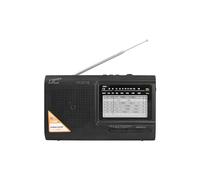 Radio portable LTC-2016 WILGA avec batterie intégrée, USB, SD, FM