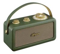 Radio portable - SANGEAN - RA-101 - FM - Bluetooth - Rechargeable - Vert/Or