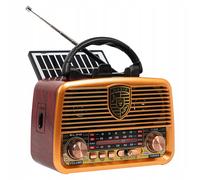 Radio Portable Universel AM/FM Bluetooth Solaire BLOW RA10