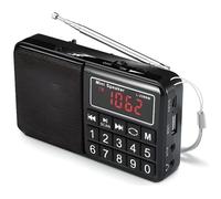 Radio Portable - WE - AM/FM/SW - Lecteur USB/Micro SD - Batterie Rechargeable 800mAh