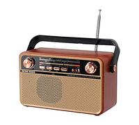 Radio rétro, AM/SW/FM Petite Radio Portable, Support Disque USB, Bluetooth, Carte USB/TF, Jack AUX - Lecture de Musique avec Batterie Rechargeable, Haut-Parleur intégré, Grand (rétro, Marron)