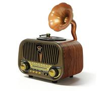 Radio rétro avec Bluetooth, petite radio nostalgique, radio Bluetooth rétro, pour randonnée, camping, cadeau, bureau, maison