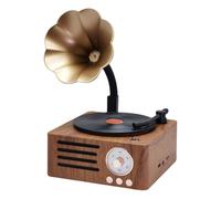 Radio rétro portable Mini radio FM Bluetooth Enceinte Enregistrement MP3 TFCard/AUX Microphone vintage avec lecteur de boîte à musique U5K6